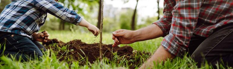 Cabecera que son constelaciones familiares
