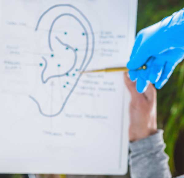 Puntos de Acupuntura disponibles en la oreja